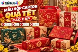 Mẫu hộp carton quà Tết cao cấp: Chọn chất liệu, kiểu dáng và in ấn